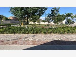 Terreno en venta en Masada Residencial, Irapuato — foto 3 de 9