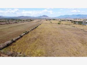 Terreno en venta en Doctor Domingo Chanona, Villaflores — foto 2 de 5