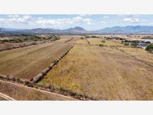Terreno en venta en Doctor Domingo Chanona, Villaflores — foto 3 de 5
