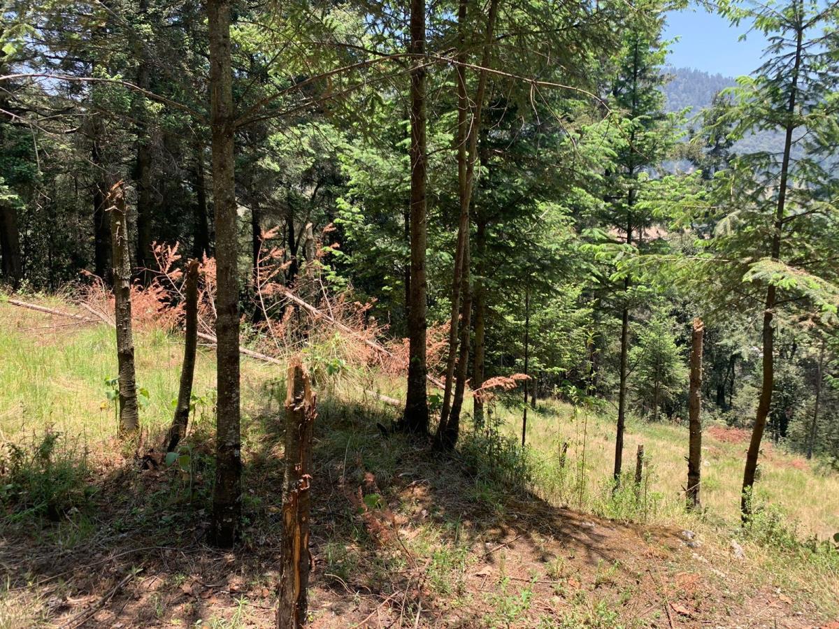 Terreno en venta en Piedra Grande, Huixquilucan — foto 1 de 13