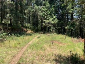 Terreno en venta en Piedra Grande, Huixquilucan — foto 2 de 13