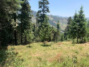Terreno en venta en Piedra Grande, Huixquilucan — foto 3 de 13
