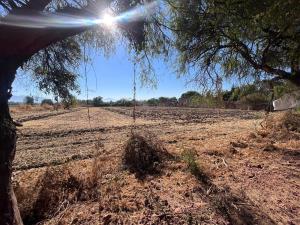 Terreno en venta en El Rodeo, Ixtlahuacán de los Membrillos — foto 2 de 8