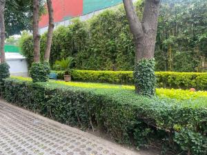Casa en venta en Del Valle Centro, Benito Juárez — foto 3 de 23