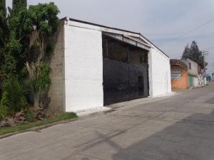 Bodega en venta en Chipilo de Francisco Javier Mina, San Gregorio Atzompa — foto 2 de 21