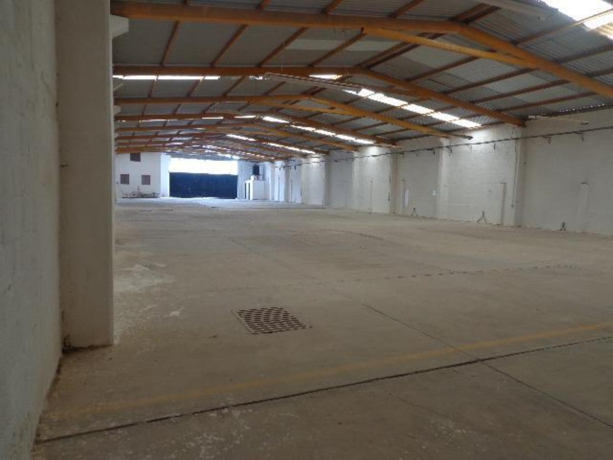 Bodega en venta en Chipilo de Francisco Javier Mina, San Gregorio Atzompa — foto 1 de 21