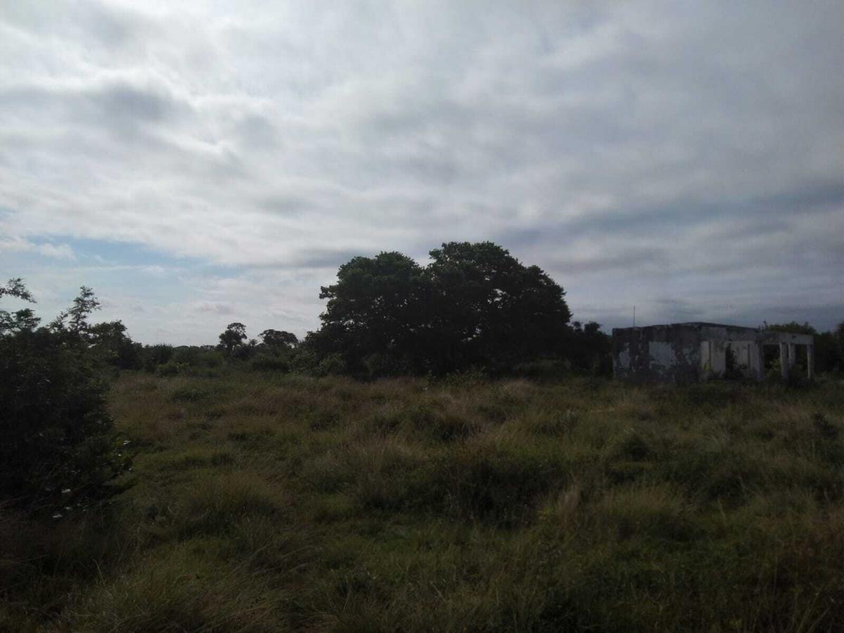 Terreno en venta en Medellín, Medellín de Bravo — foto 1 de 18