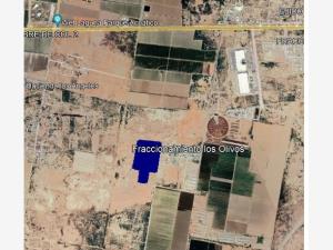 Terreno en venta en Hacienda los Olivos, Matamoros — foto 2 de 15