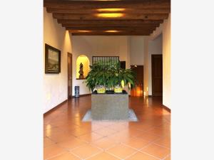 Casa en venta en Jardines de Ahuatepec, Cuernavaca — foto 2 de 31