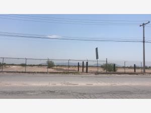 Terreno en renta en Paso del Aguila, Torreón — foto 2 de 6