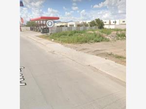 Terreno en renta en Juarez, Juárez — foto 3 de 5