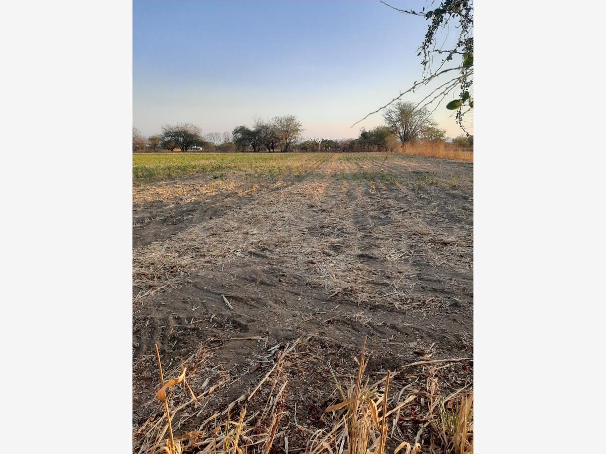 Terreno en venta en Amayuca, Jantetelco — foto 1 de 6