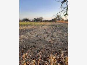 Terreno en venta en Amayuca, Jantetelco, Morelos