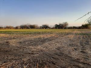 Terreno en venta en Amayuca, Jantetelco — foto 2 de 6