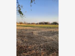 Terreno en venta en Amayuca, Jantetelco — foto 3 de 6