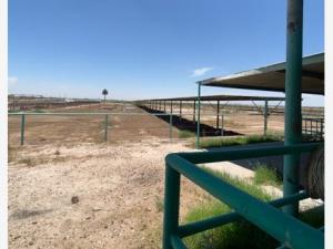 Terreno en venta en Dieciocho de Marzo, Francisco I. Madero — foto 3 de 7