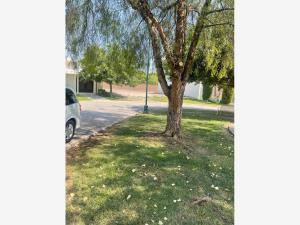 Terreno en venta en Las Villas, Torreón — foto 2 de 7