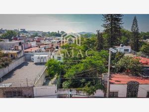 Terreno en renta en Amatitlan, Cuernavaca — foto 3 de 8