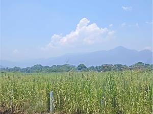 Terreno en venta en Amatlán de los Reyes Centro, Amatlán de los Reyes, Veracruz de Ignacio de la Llave