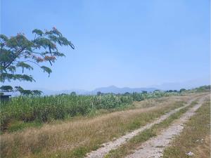 Terreno en venta en Amatlán de los Reyes Centro, Amatlán de los Reyes — foto 2 de 16