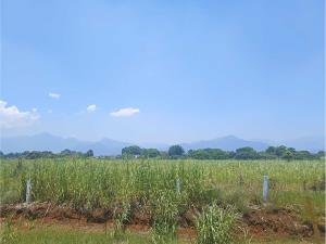 Terreno en venta en Amatlán de los Reyes Centro, Amatlán de los Reyes — foto 3 de 16