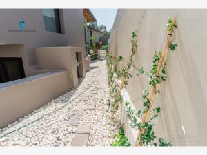 Casa en venta en Residencial Club Campestre, León — foto 3 de 20