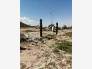 Terreno en venta en La Rosa, Saltillo — foto 2 de 3