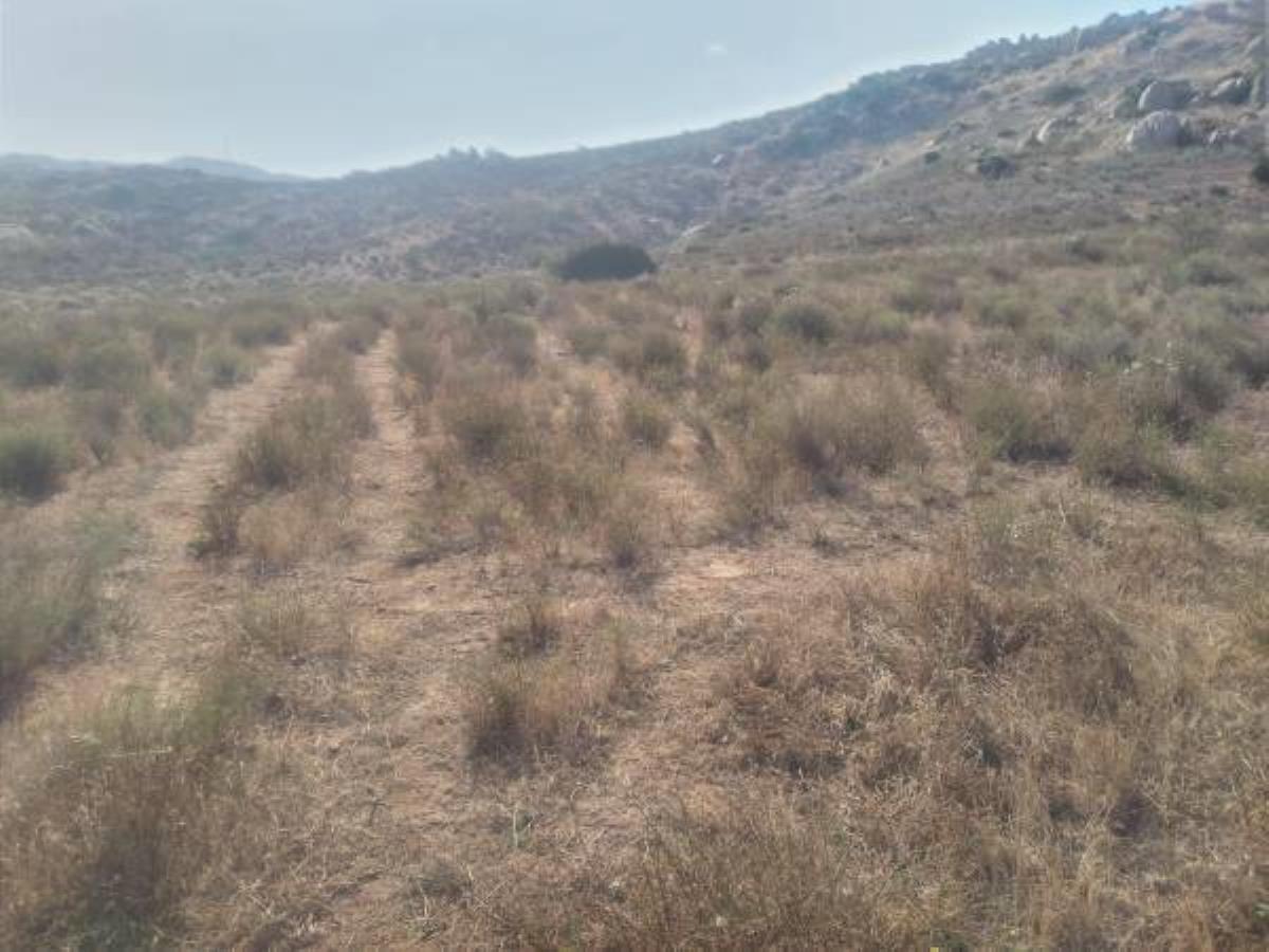 Terreno en venta en Valle Redondo, Tijuana — foto 1 de 20