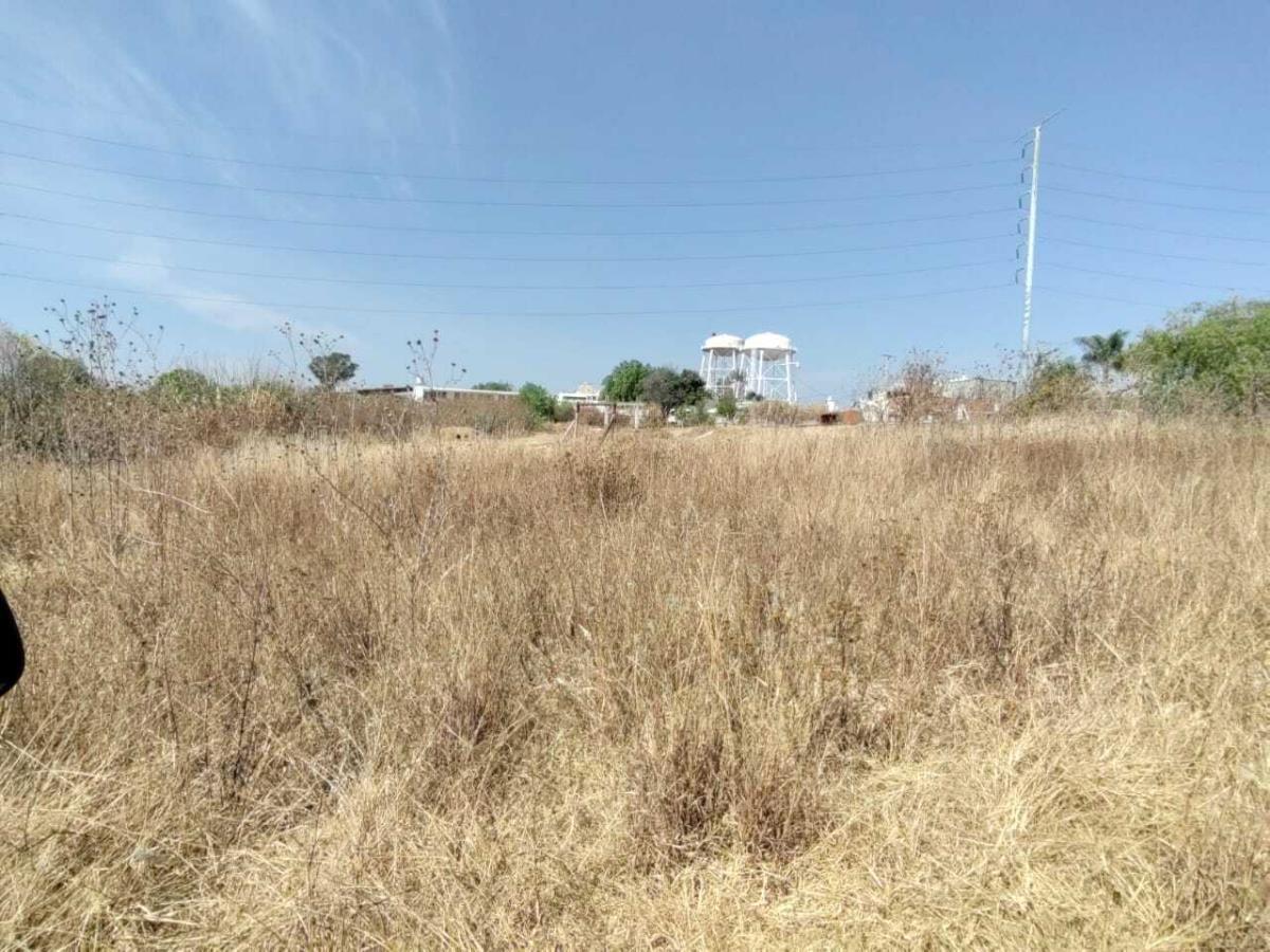 Terreno en renta en Atlixco 90, Atlixco — foto 1 de 7