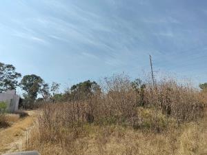 Terreno en renta en Atlixco 90, Atlixco — foto 2 de 7