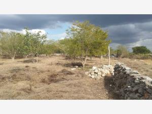 Terreno en venta en Izamal Centro, Izamal — foto 2 de 4