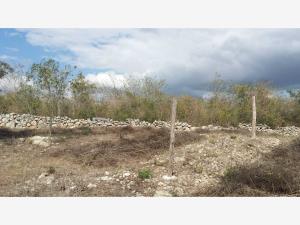 Terreno en venta en Izamal Centro, Izamal — foto 3 de 4