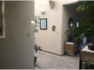 Departamento en venta en San Jerónimo Aculco, Álvaro Obregón — foto 3 de 16