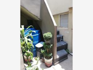 Edificio en venta en Santo Tomas, Miguel Hidalgo — foto 3 de 8