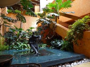 Casa en venta en Tlacopac, Álvaro Obregón — foto 3 de 28