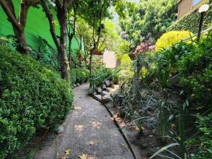 Terreno en venta en Tlacopac, Álvaro Obregón — foto 3 de 3