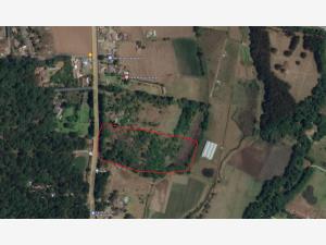 Terreno en venta en Valle de Bravo, Valle de Bravo — foto 3 de 6