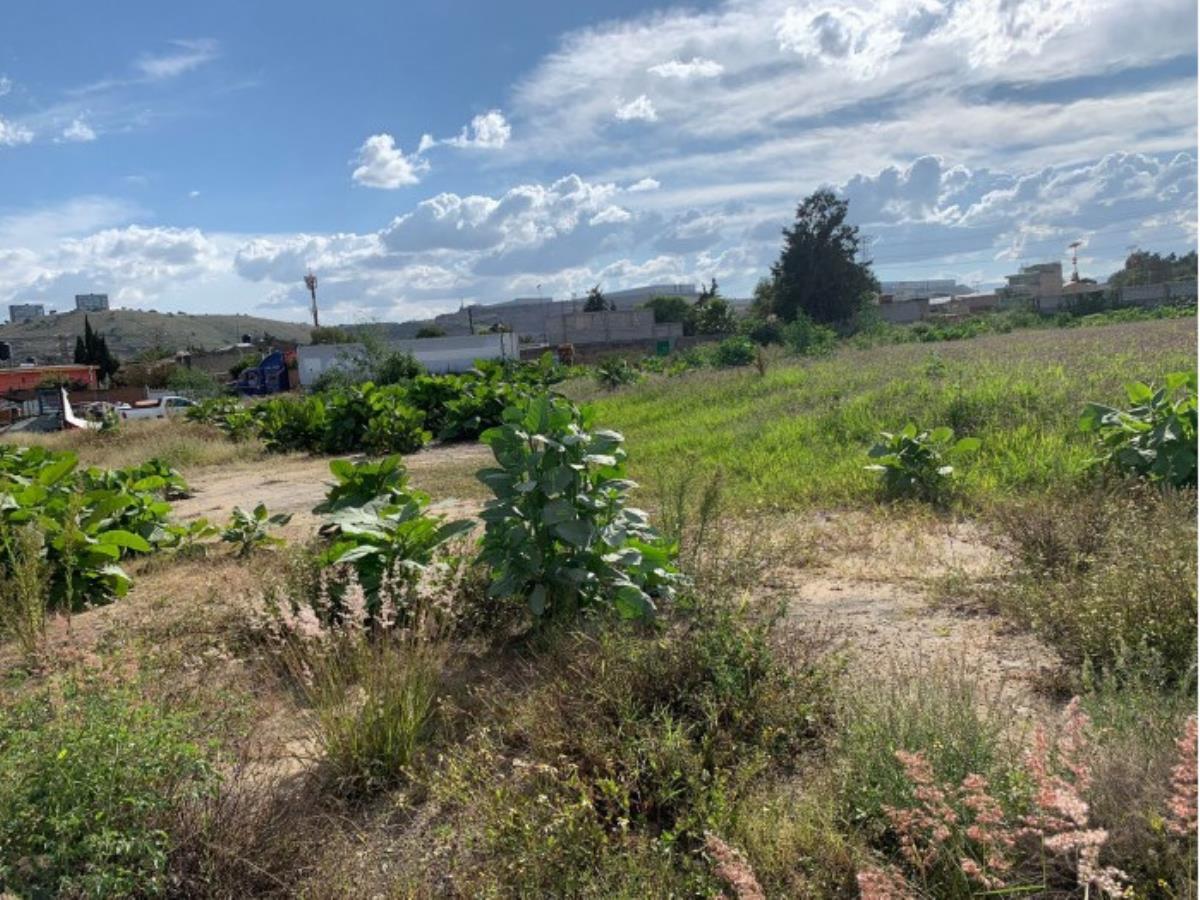 Terreno en renta en San Martín Tepetlixpan, Cuautitlán Izcalli — foto 1 de 7