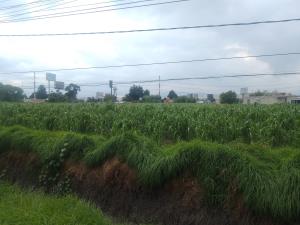 Terreno en venta en San Pedro Totoltepec, Toluca — foto 3 de 6