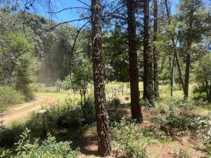 Terreno en venta en Omitlán de Juárez Centro, Omitlán de Juárez — foto 2 de 8