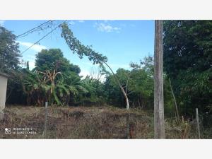 Terreno en venta en Playa de Vacas, Medellín de Bravo — foto 2 de 4