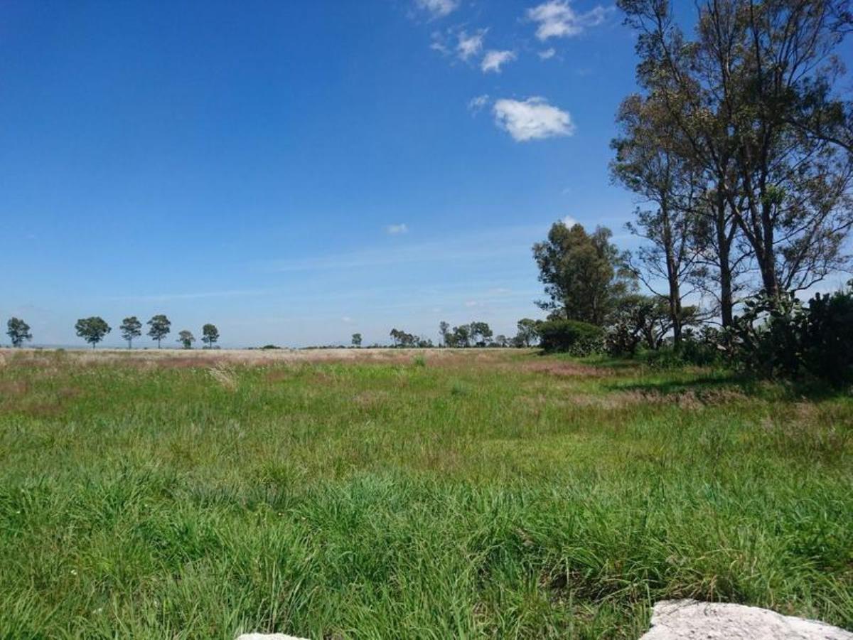 Terreno en venta en Polotitlán de la Ilustración, Polotitlán — foto 1 de 4
