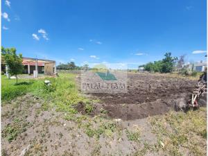 Terreno en venta en Precursores, Rioverde — foto 2 de 5
