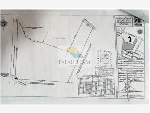 Terreno en venta en Precursores, Rioverde — foto 3 de 5
