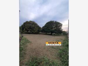 Terreno en venta en El Tejar, Medellín de Bravo — foto 2 de 3