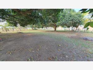 Terreno en venta en El Tejar, Medellín de Bravo — foto 3 de 3