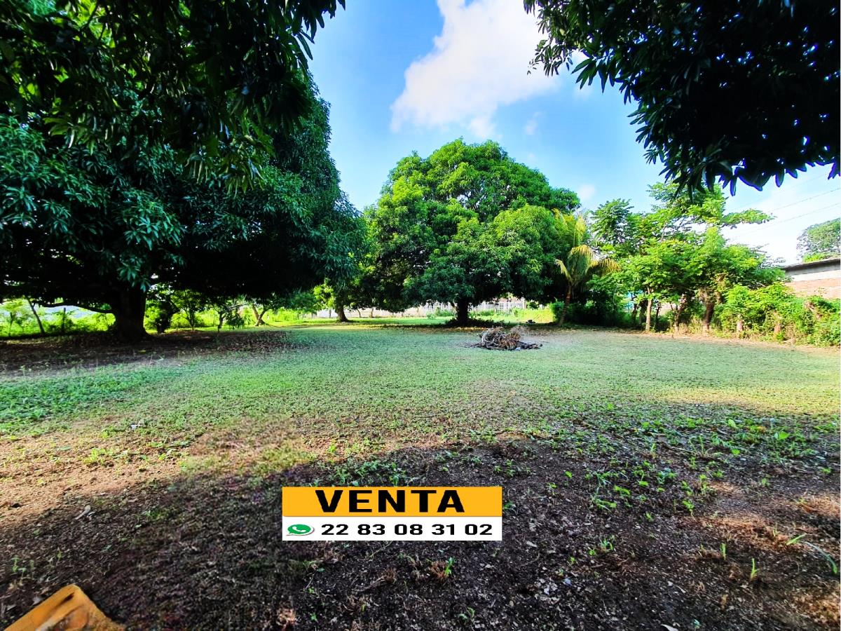 Terreno en venta en El Tejar, Medellín de Bravo — foto 1 de 3