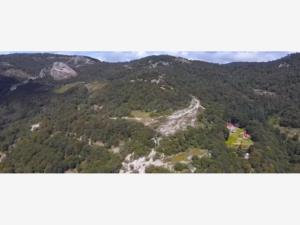 Terreno en venta en La Estanzuela, Mineral del Chico — foto 3 de 10