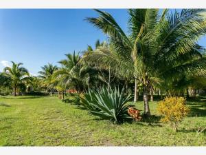 Terreno en venta en Leona Vicario, Puerto Morelos — foto 3 de 12
