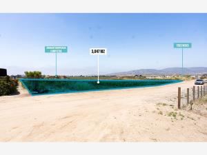Terreno en venta en Francisco Zarco (Valle de Guadalupe), Ensenada — foto 2 de 4
